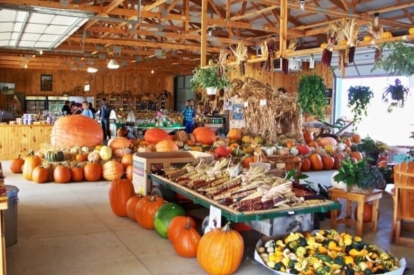 Butterfield-Farm-Market-Pumpkins2-1f96c0935056a36_1f96c24d-5056-a36a-0976e0279742aafc-min
